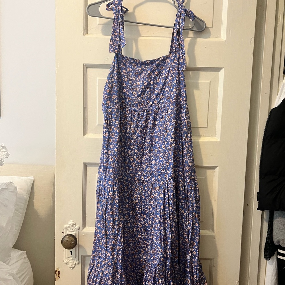 Madewell Blue Flower Maxi Dress